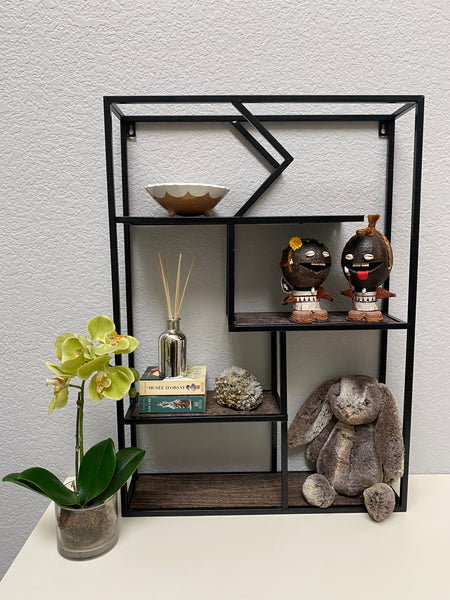 Wall mounted shelf online organizer